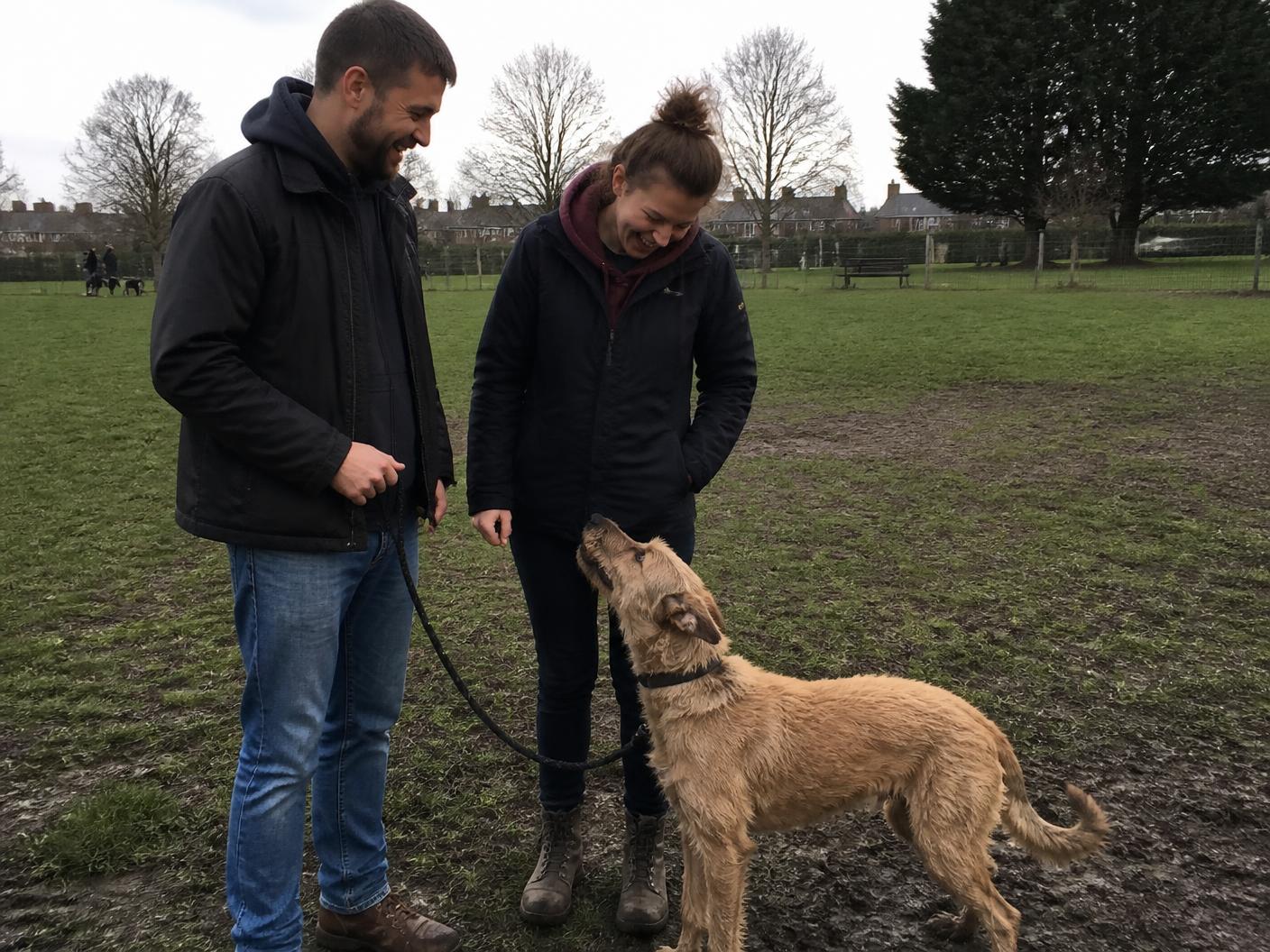 A couple enjoying a relaxed check-in with their scruffy dog at a local park