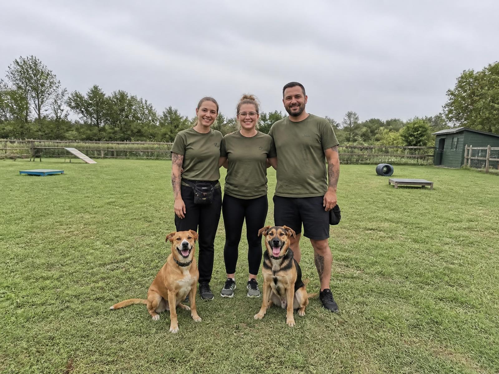 The WagMasters Dog team — three dog trainers in matching staff t-shirts with two relaxed mixed-breed dogs