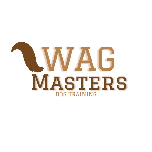 WAGMASTERS DOG TRAINING